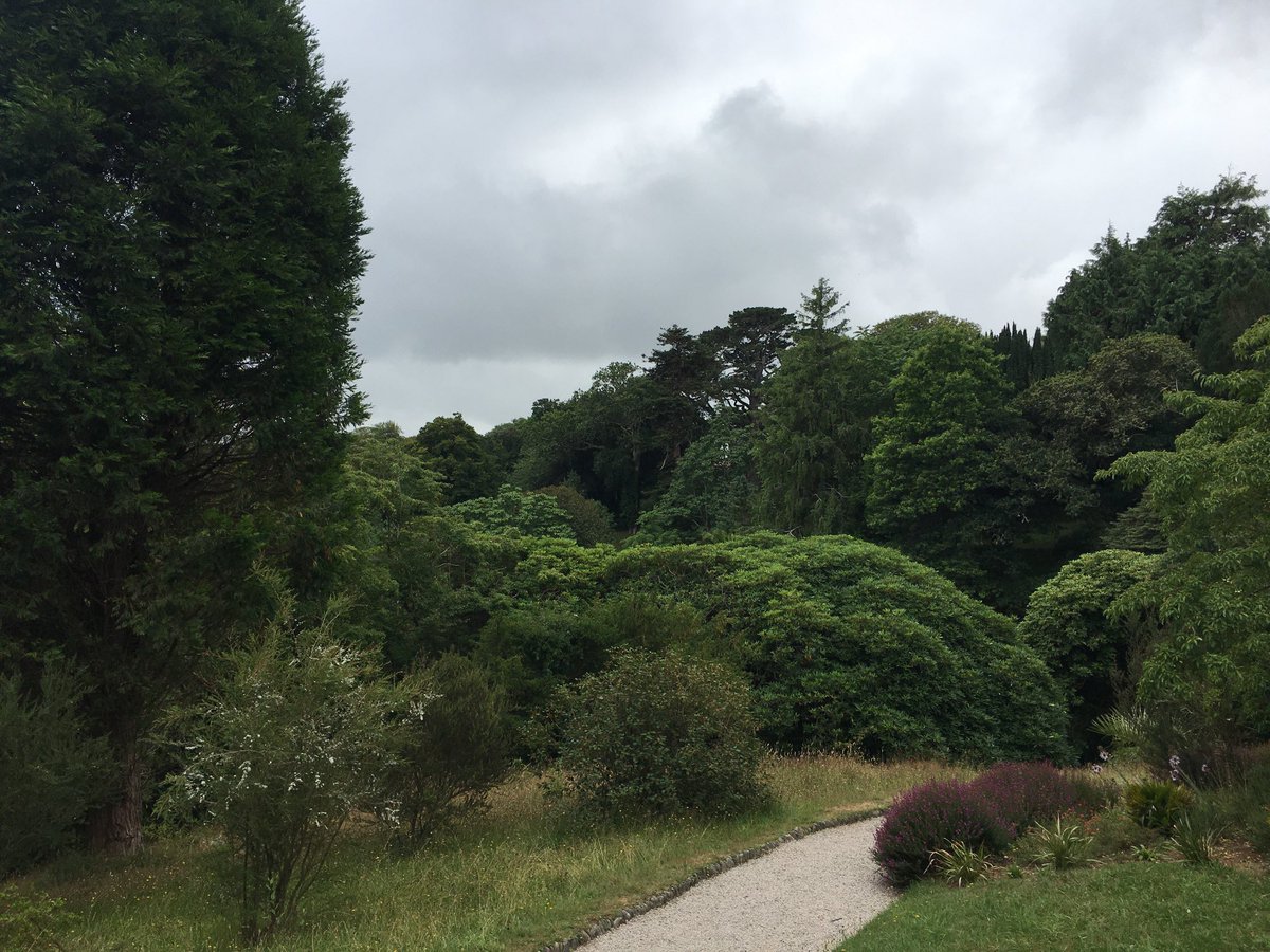 ViewsOfLizard's tweet photo. Lovely day at Glendurgan Garden. Lots of crabs on the beach, but we were too excited to take pictures! @NTGlendurgan @NTSouthWest @SWCornwallNT https://t.co/3qJhGNHaZ4