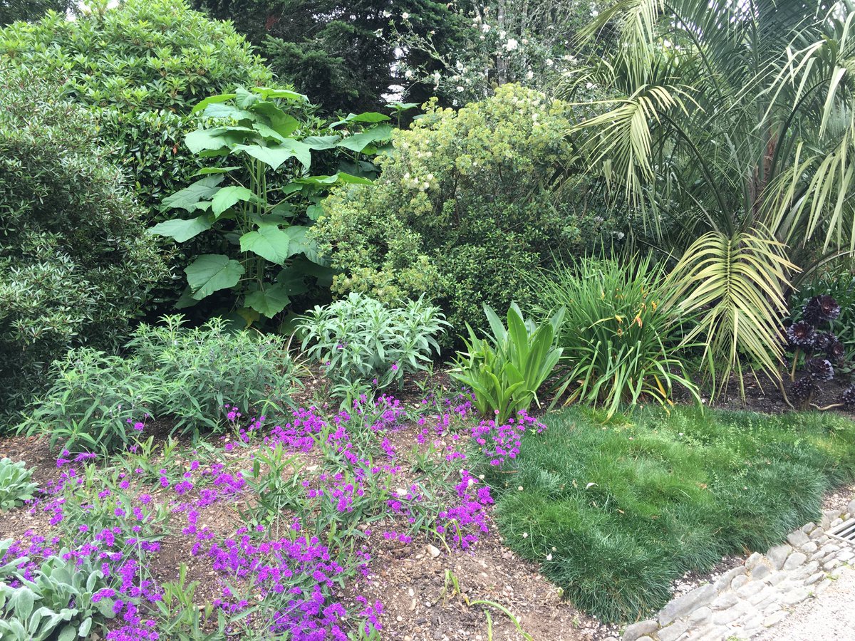 ViewsOfLizard's tweet photo. Lovely day at Glendurgan Garden. Lots of crabs on the beach, but we were too excited to take pictures! @NTGlendurgan @NTSouthWest @SWCornwallNT https://t.co/3qJhGNHaZ4