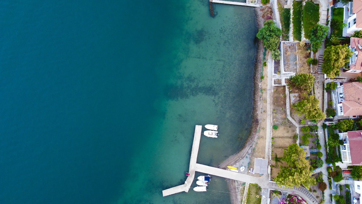 الشوق tweet media