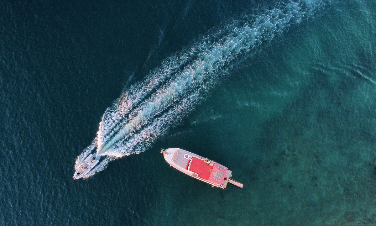 الشوق tweet media