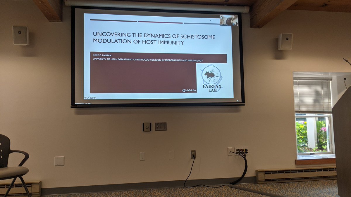 MBLBoP's tweet photo. Keke Fairfax shared her passion for understanding immunity and schistosoma in today's lecture! Thanks for a great talk! #bop2021 #mblbop @LabFairfax https://t.co/uOjBMamFVz