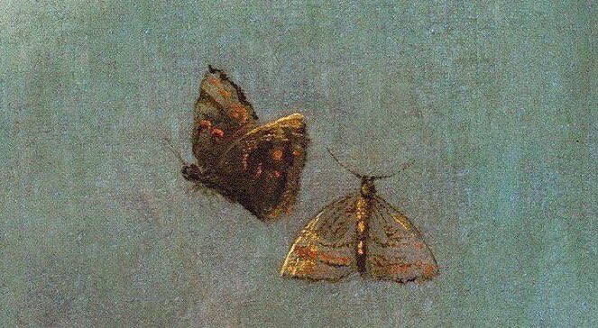 softblushs's tweet image. painting detail of jupiter, mercury and virtue with butterflies by dosso dossi (1524)