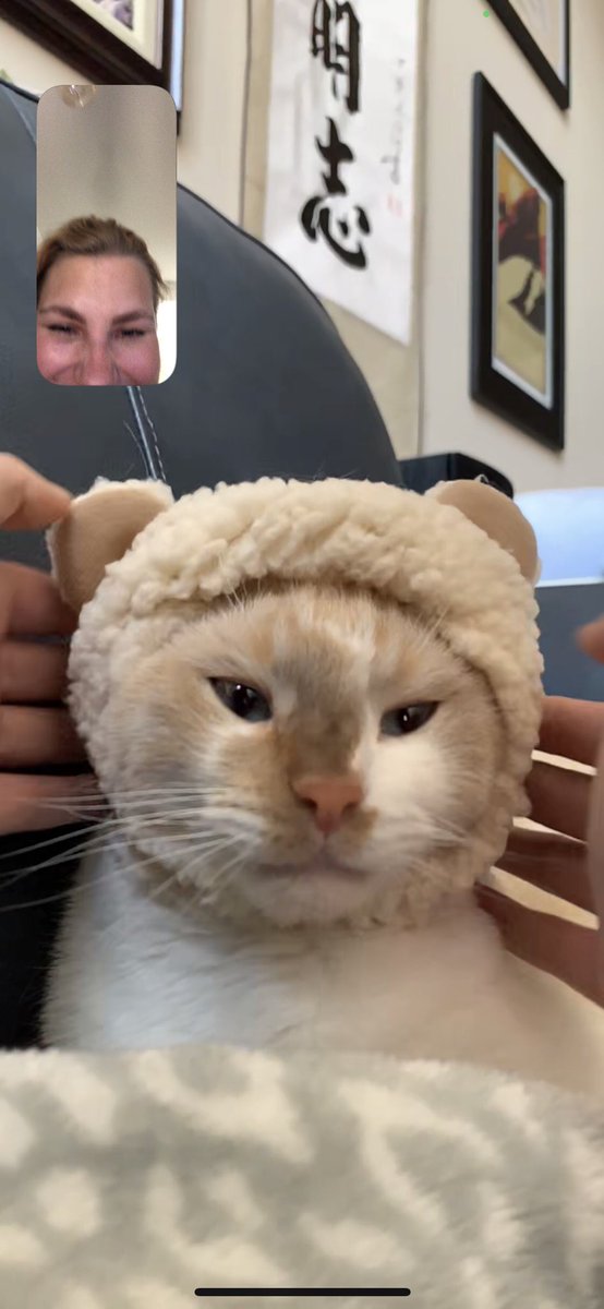 ooonarock's tweet photo. @jillianko I think his mood is related to this. https://t.co/7touZXH7gW