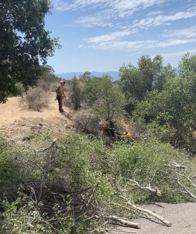 calfireSCU's tweet photo. Even while we sent fire engines and crews to the Dixie Fire, SCU National Guard Fire Crew 16A continues the fuel modification project in Alum Rock Park. This important project creates a fuel break to slow fires moving into the residential areas of San Jose. @SJFD @CityofSanJose https://t.co/V10IFSqtfL