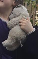Lost: PLEASE HELP find Polar (Bea... | Premier Inn Watford North W... | posts.whiteboomerang.com/lostteddy/msg/… #LostTeddy