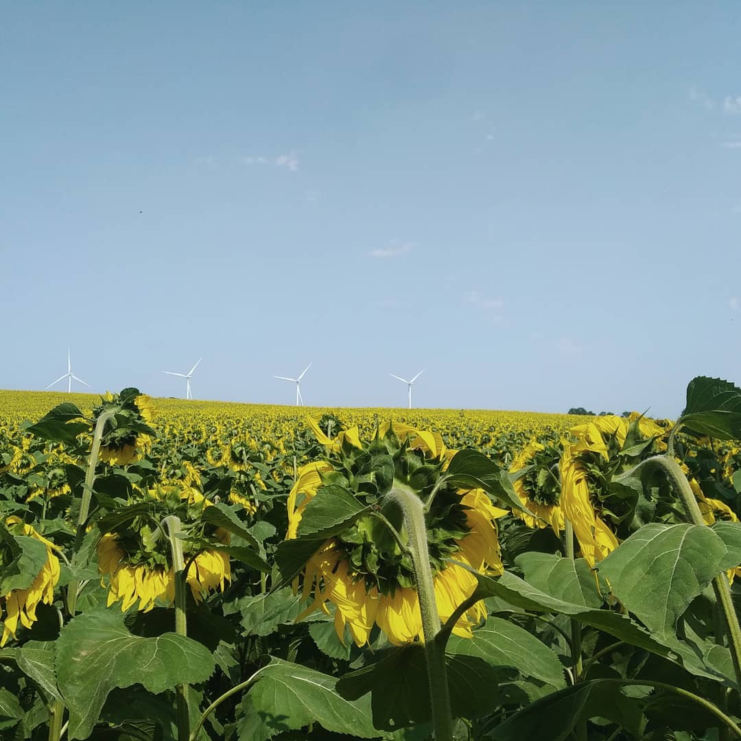 Thomas de Rosanbo tweet media