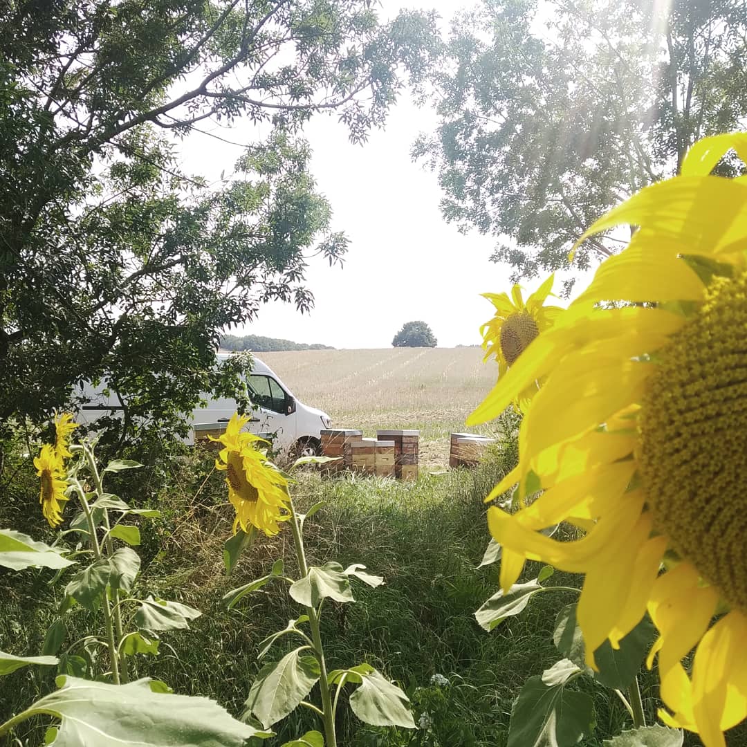 Thomas de Rosanbo tweet media