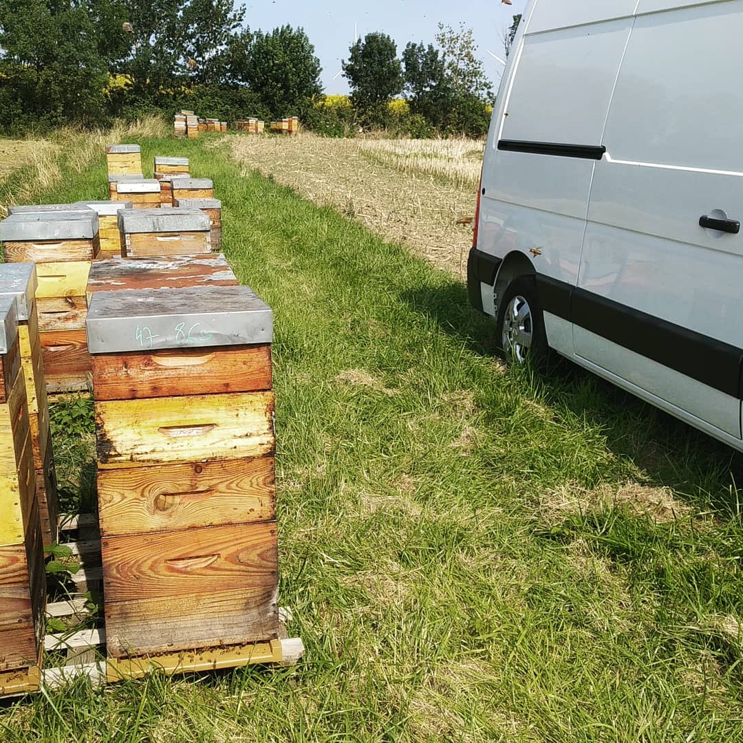 Thomas de Rosanbo tweet media