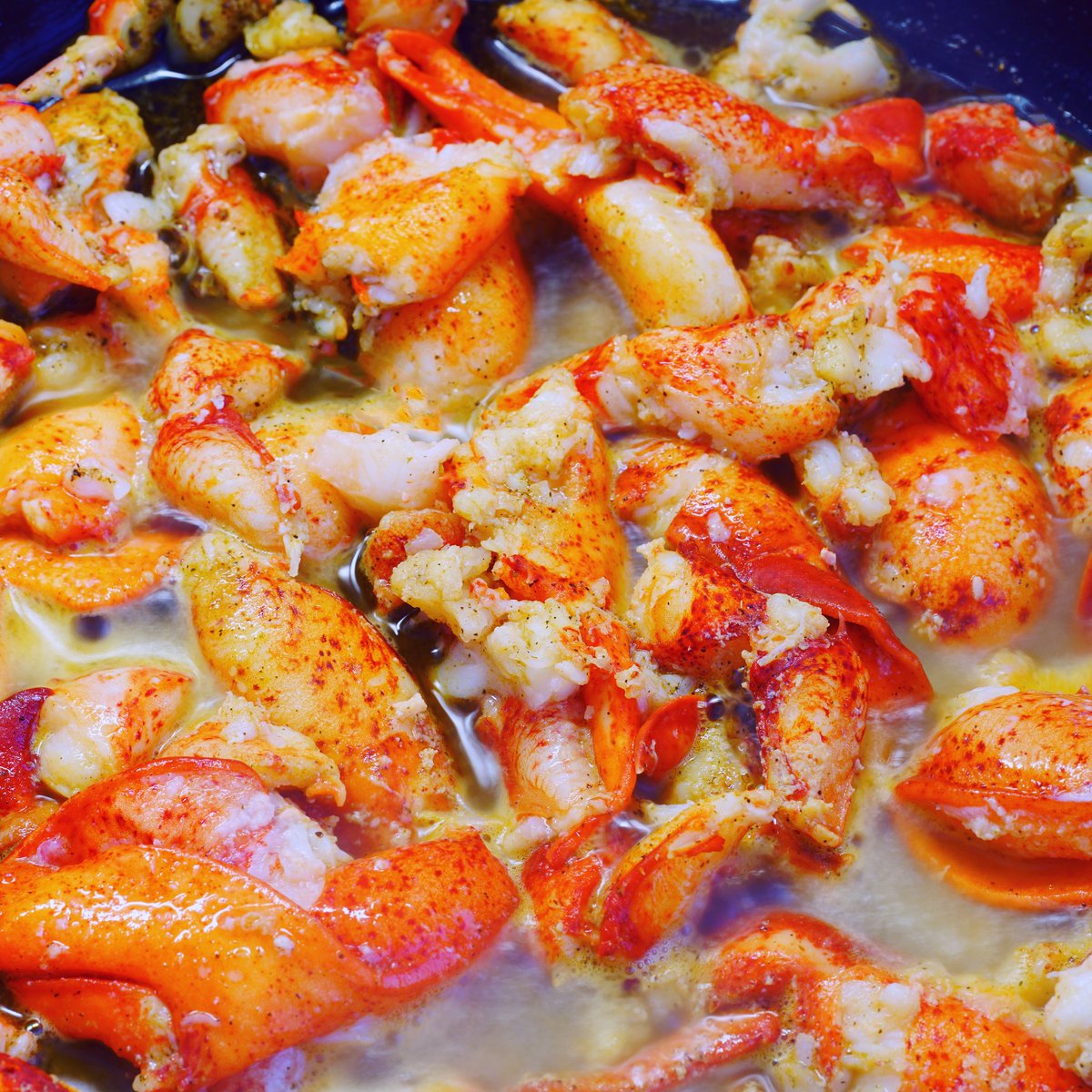 Lobster Trader (@lobster_trader) / Posts / X
