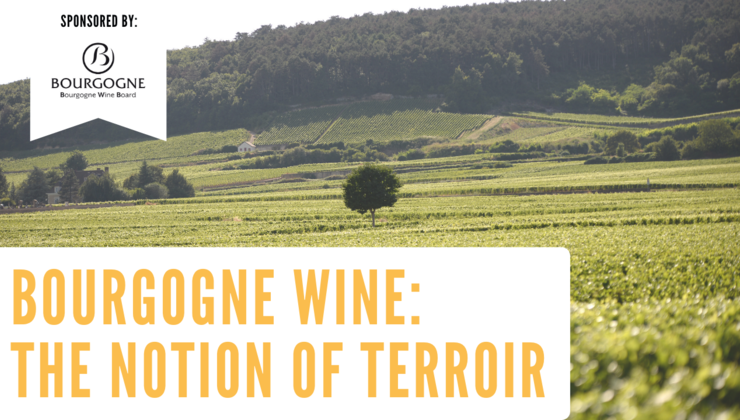 SommCon's tweet photo. Brought to you by @vinsdebourgogne and @CellarMuse is "Bourgogne: The First Step Towards the Notion of Terroir." Discover the region's history, unique soil, climate, and more at https://t.co/HB52RdsKDN
#bourgogne #SommGo #businessofwine #wineeducation #frenchwine https://t.co/7y3lkXWdIO