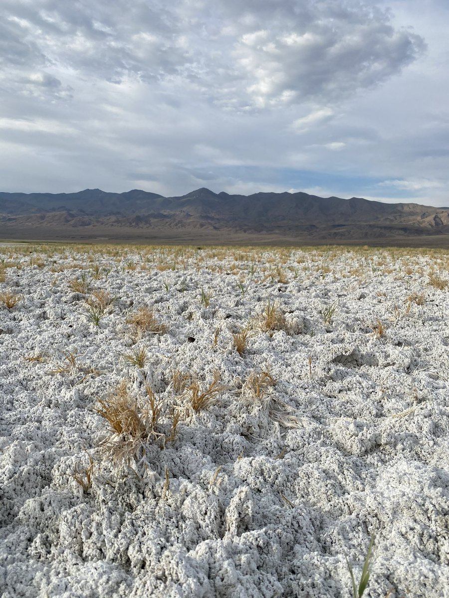 What’s the worst photo you’ve ever taken? I’ll go first. Wasted opportunity in #deathvalley I don’t know what I was thinking