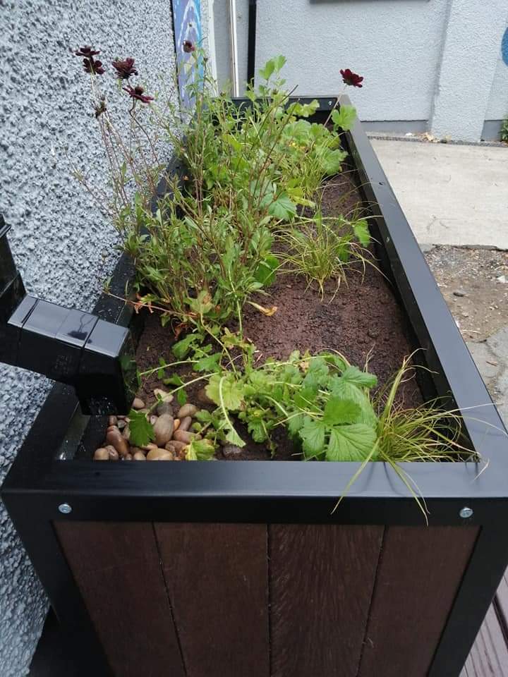 DRMZ_Carmarthen's tweet photo. Today we have a new rainwater harvester planter and bench, massive thanks to Lorna and Alex from Sudsplanter @FundTnl @renewwales #climateboost https://t.co/rOGhHhwC29