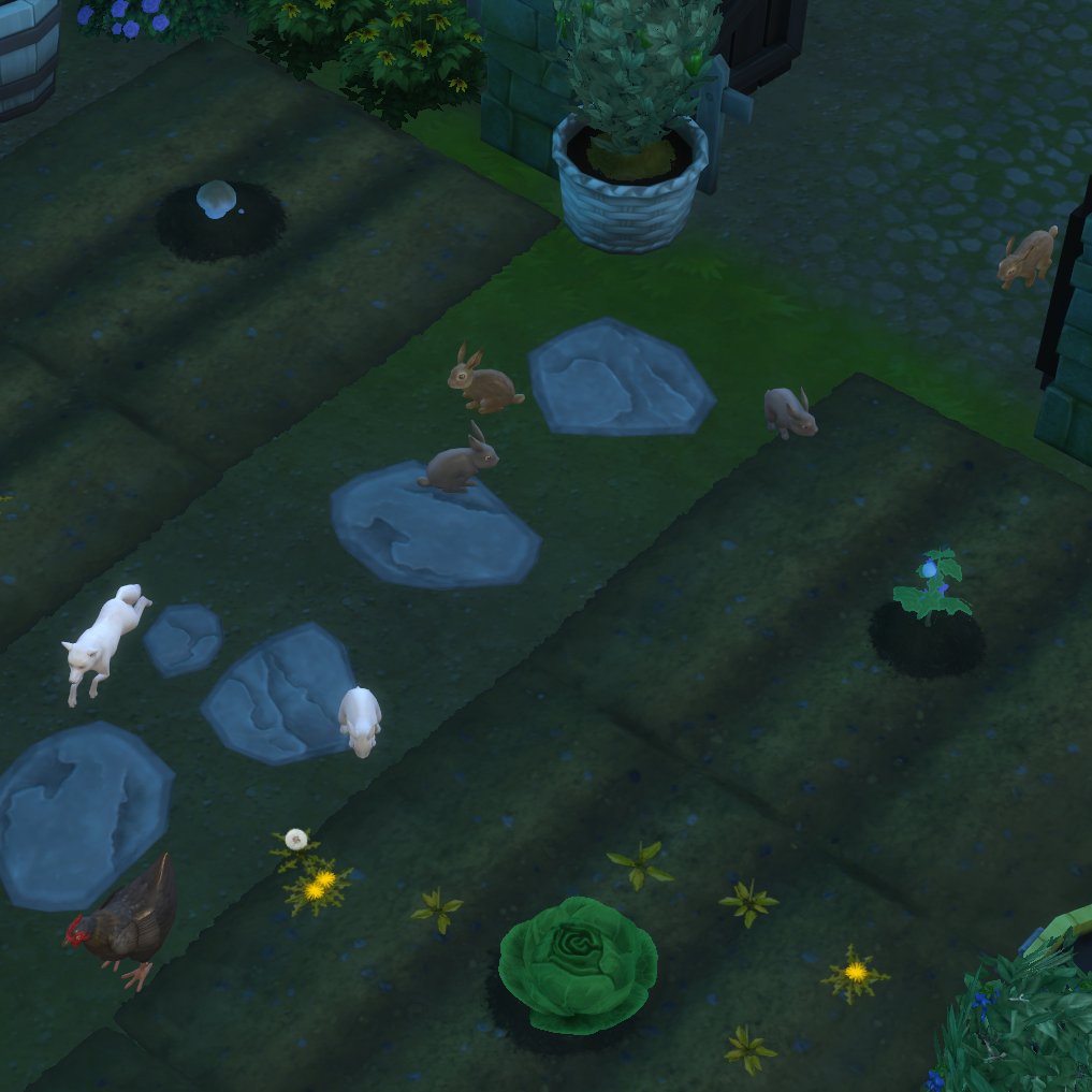 THIS IS SO HECTIC. I have 5 bunnies a fox and a chicken all in my garden help