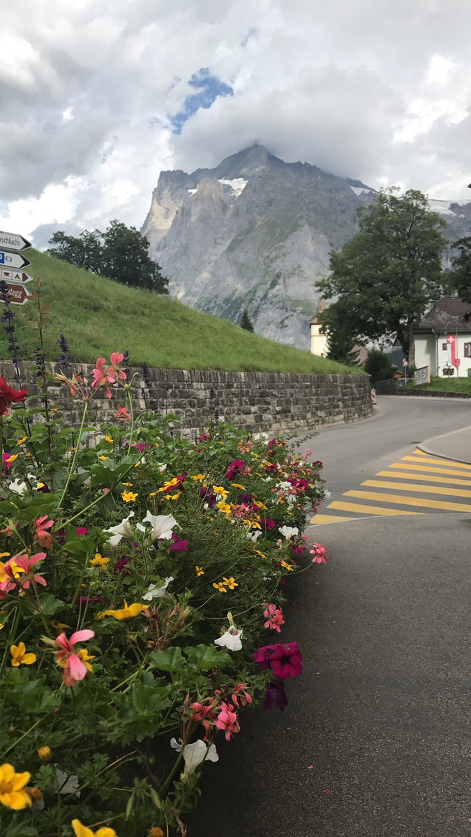 جريندلفالد أو جريندلوالد السويسرية تتمتع بجمال وطبيعة رائعة وتعتبر من أروع المناطق السياحية في سويسرا 
وتقع  في تجويف جبلي اخضر جميل تحيط بها القمم الجبلية 
وتبعد عن إنترلاكن 20 كلم
 تصويري أغسطس 2017
احداثية السنتر
N 46 37.425
E008 02.567