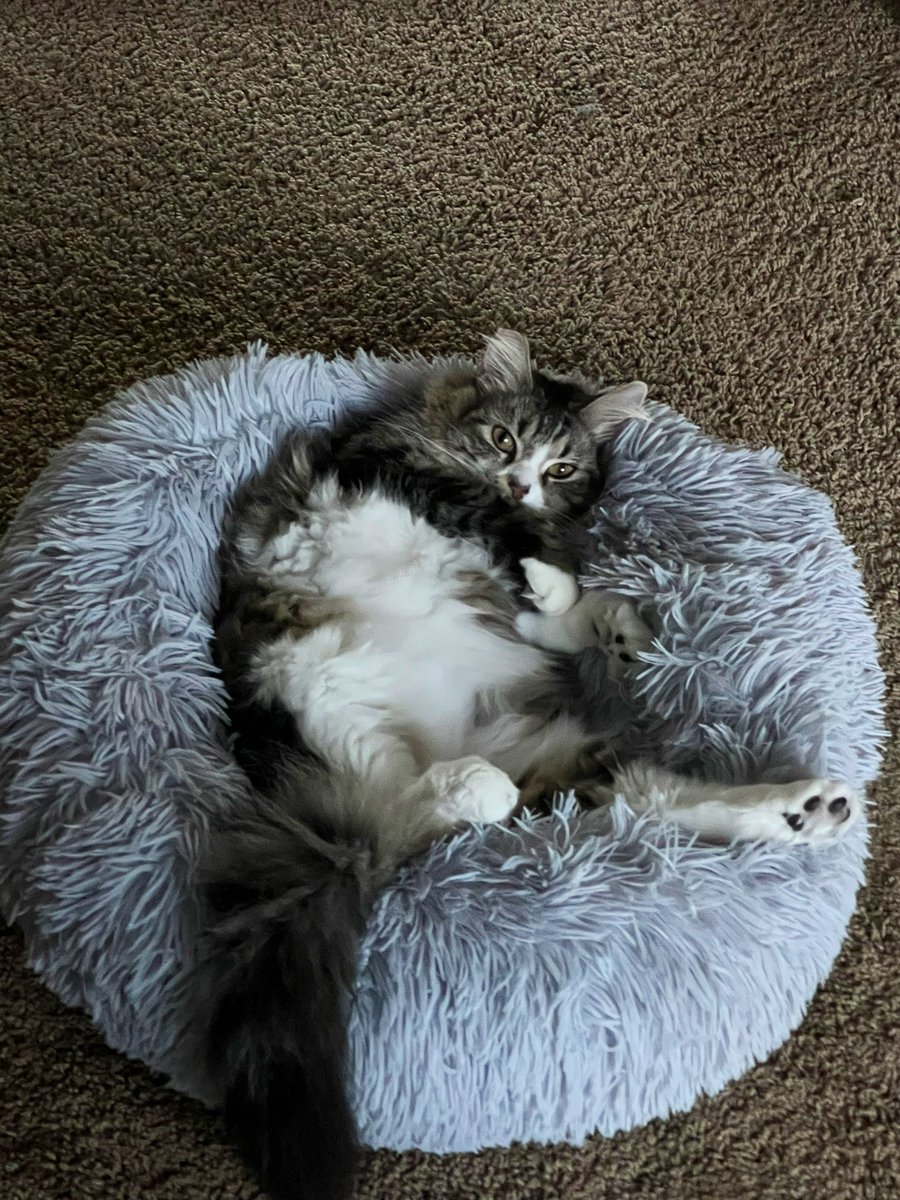 HexInTheSystem's tweet image. We vibe