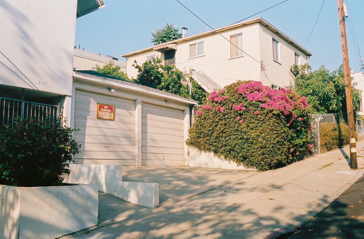 L.A. Times Plants tweet media