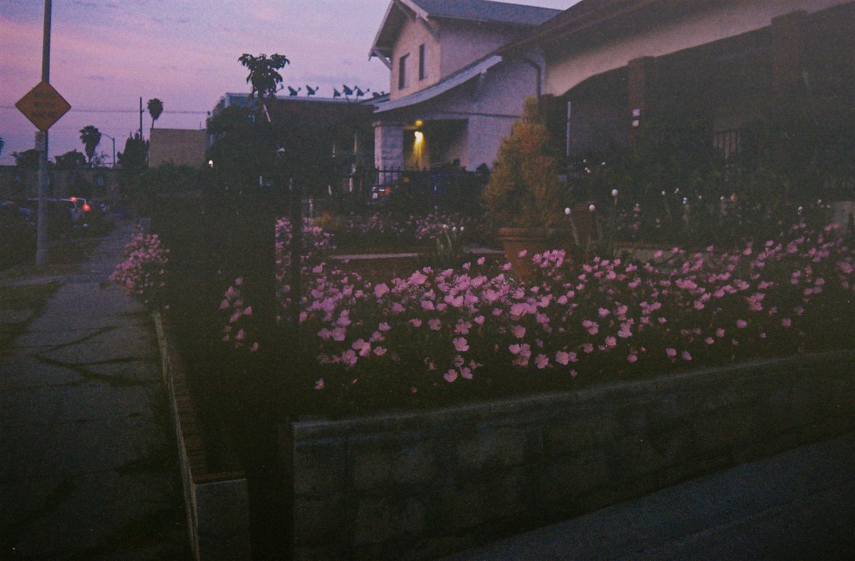 L.A. Times Plants tweet media