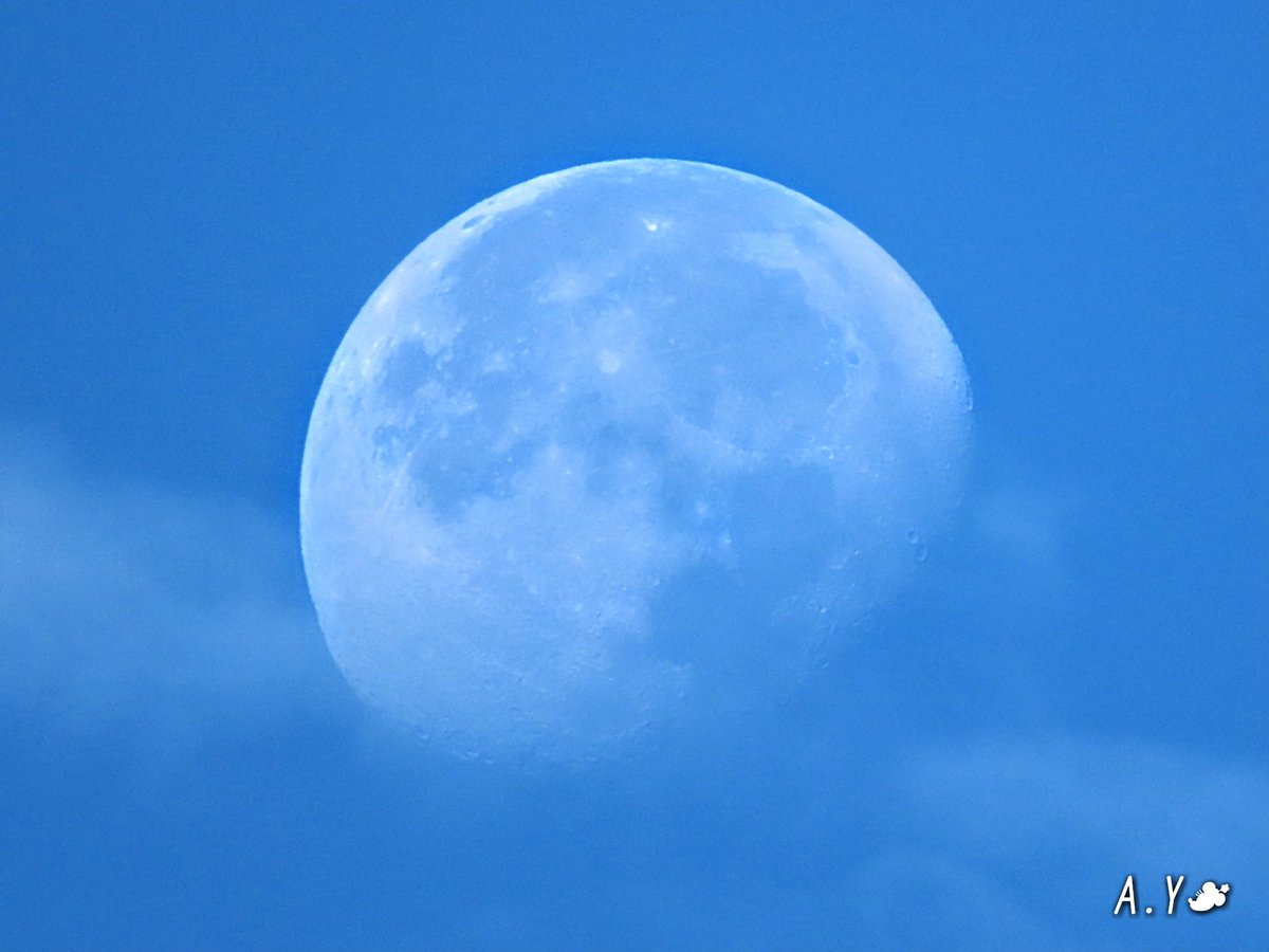 yumeasutw's tweet photo. #青空 に #羊雲 がポコポコ西の空に🌔 #朝月 が残る水曜日の朝✈️
予想最高/最低気温🌡️33℃/23℃
晴れのち曇り☀️➡️☁️
午後は雲が多くなり⛈️俄か雨に御用心です。
#高積雲
#天気の図鑑
#空の名前
#雲友
#月 #moon
#居待月
#飛行機
#海南航空 #A330-343
#鉄塔 #電線 #電柱
#a2021 #a0728 #a202107 https://t.co/EbVFEpBpr4