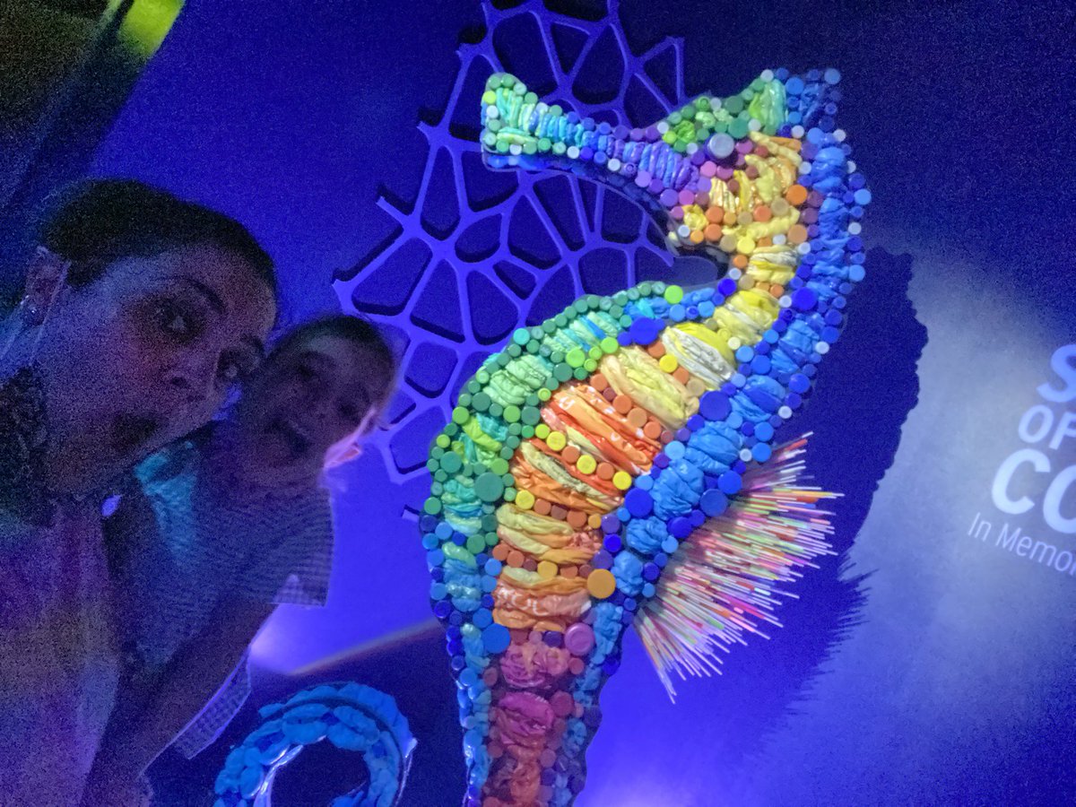 Went to the Greensboro Science Center today and this was made from plastic trash #reducereuserecycle #nostraws #keepouroceansclean @LHECMES