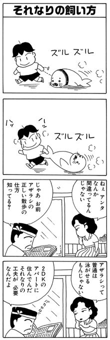 一般家庭でのアザラシの飼い方。
#夏休み
#毎朝ゴマちゃん 
#少年アシベ 
