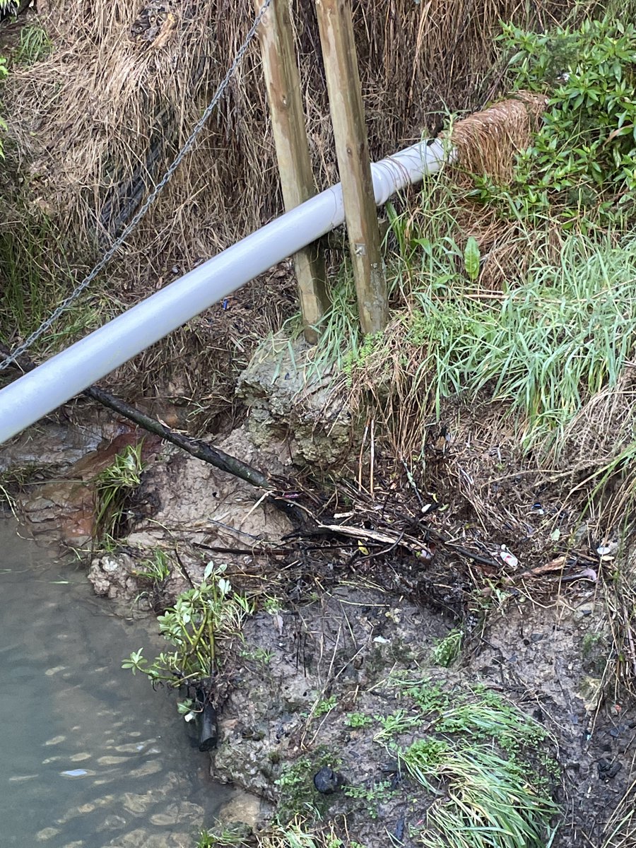 willdento's tweet photo. .@watercare_nz looks like the foundations for this pipe have been significantly eroded recently, if that's a poo pipe might not be a good time for the stream when it lets go.
Ceramco Park/Waikumete Stream, Glen Eden https://t.co/TsEYBRmNjp
