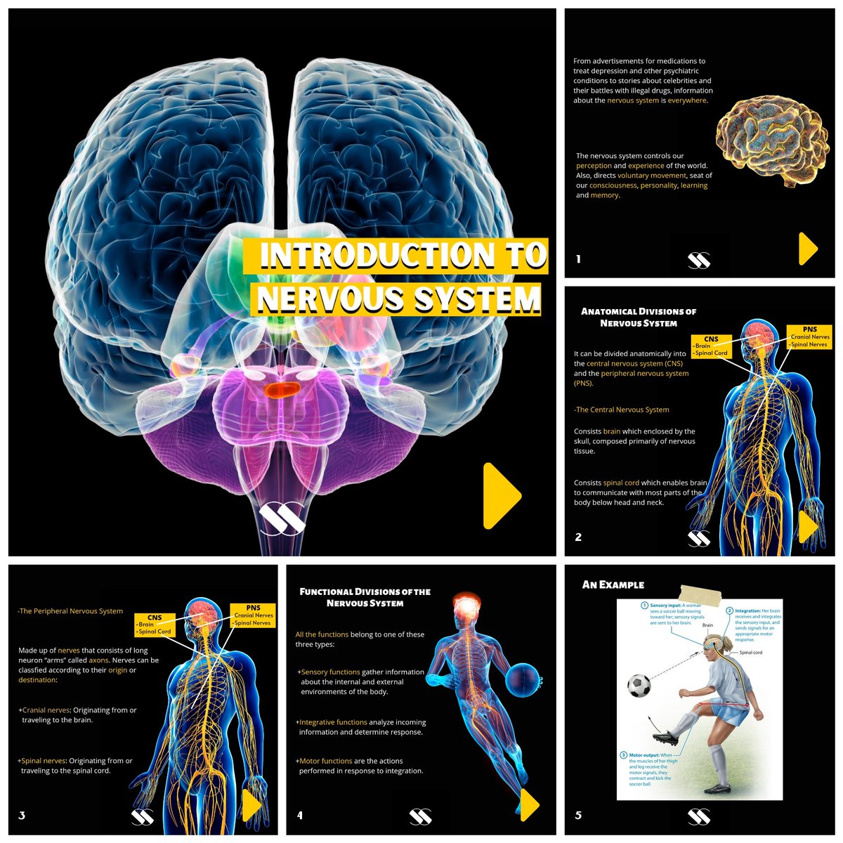 SayAssociation's tweet photo. From advertisements for medications to treat depression and other psychiatric conditions to stories about celebrities and their battles with illegal drugs, information about the nervous system is everywhere...

So let's dive into it!!

💥Check Out⬇️
https://t.co/o4Hw9rb1Mb https://t.co/f0Kt4qCcQt