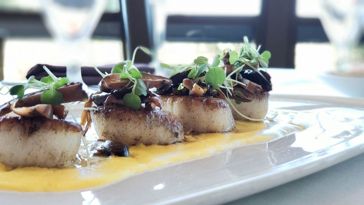See food, eat food. Not a problem at Panevino! These pan seared scallops on a bed of creamy saffron and mascarpone sauce with Italian forest mushrooms will help satisfy that seafood craving.