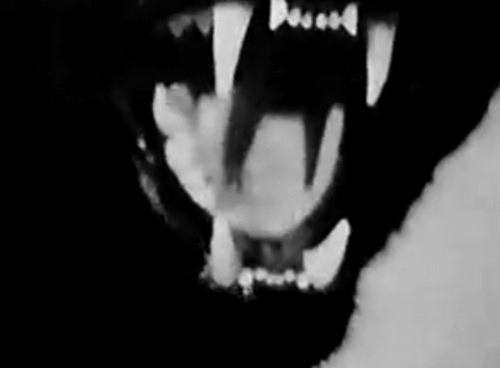 Archillect (@archillect) on Twitter photo 