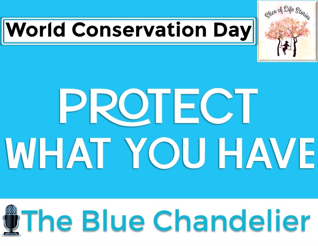 World Conservation Day with🎙The Blue Chandelier

▶ youtu.be/Vk2jafuK57E

#worldnatureconservationday #conservation #myworld #nature #wildlife #life #natureconservation #avoidplastic #environment #savetheplanet #environmental #environmentallyconscious #zerowastegoals #podcast