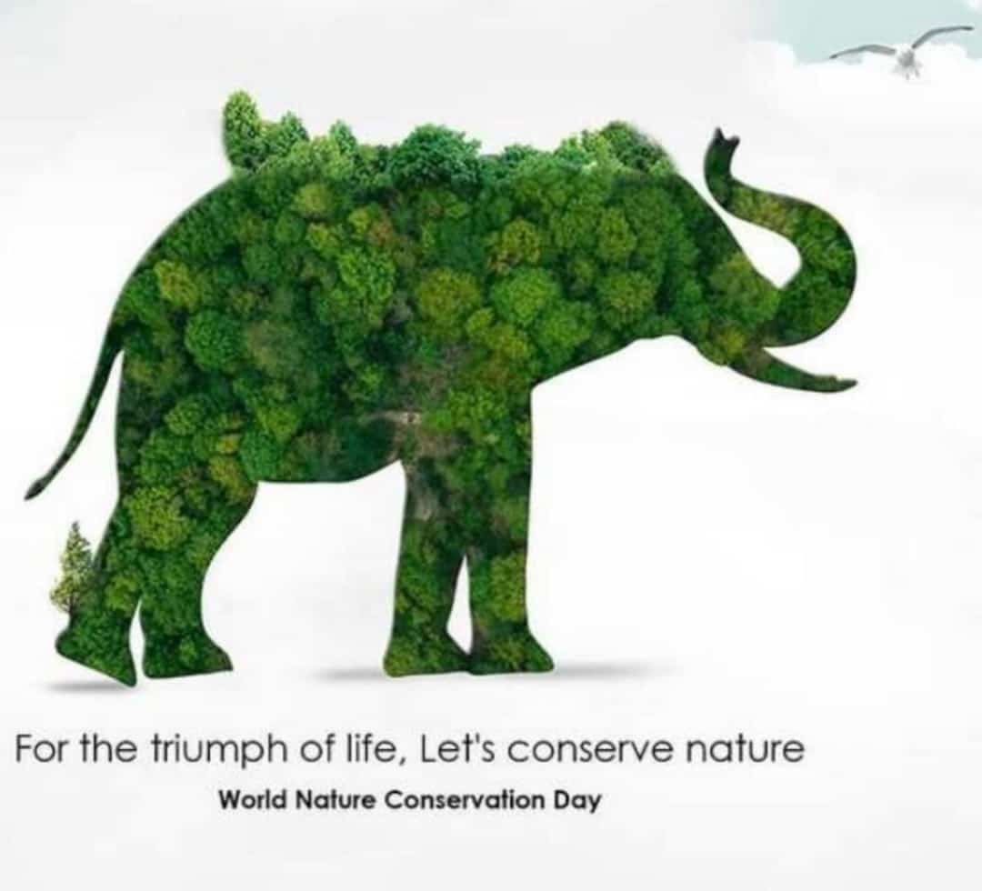 Ordinary Man tweet media