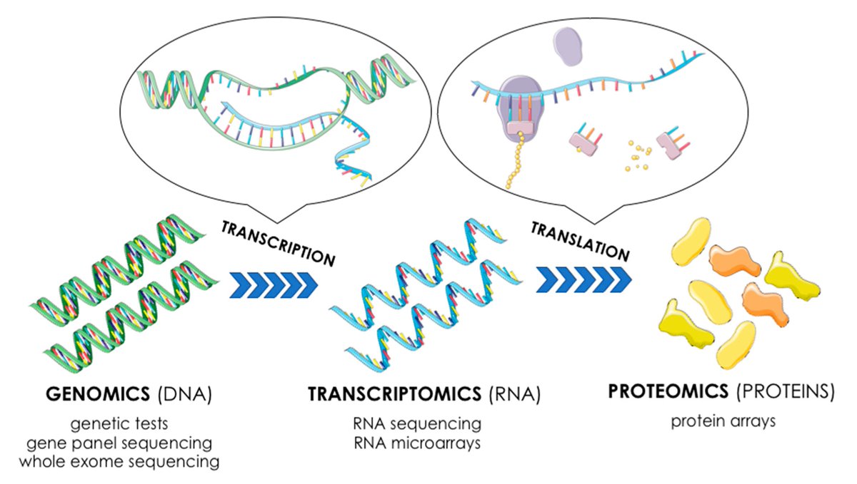 Геном днк. Протеомика это в биологии. Днк нанотехнологии. Vitha group anima genomics. Функциональная протеомика.