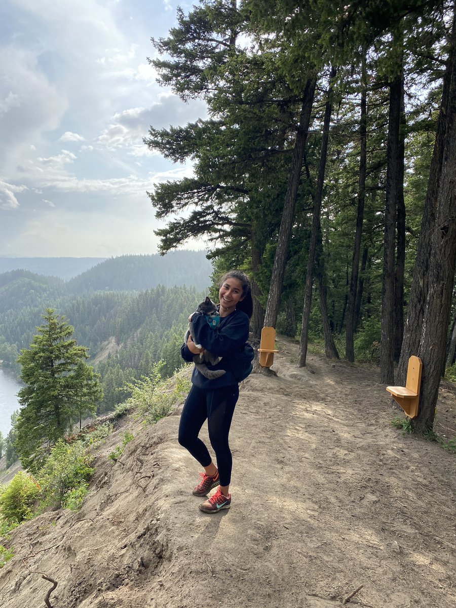 Adventure cat, adventure cat, doing adventure things. #CityOfPG #northernbc #CatsOnTwitter