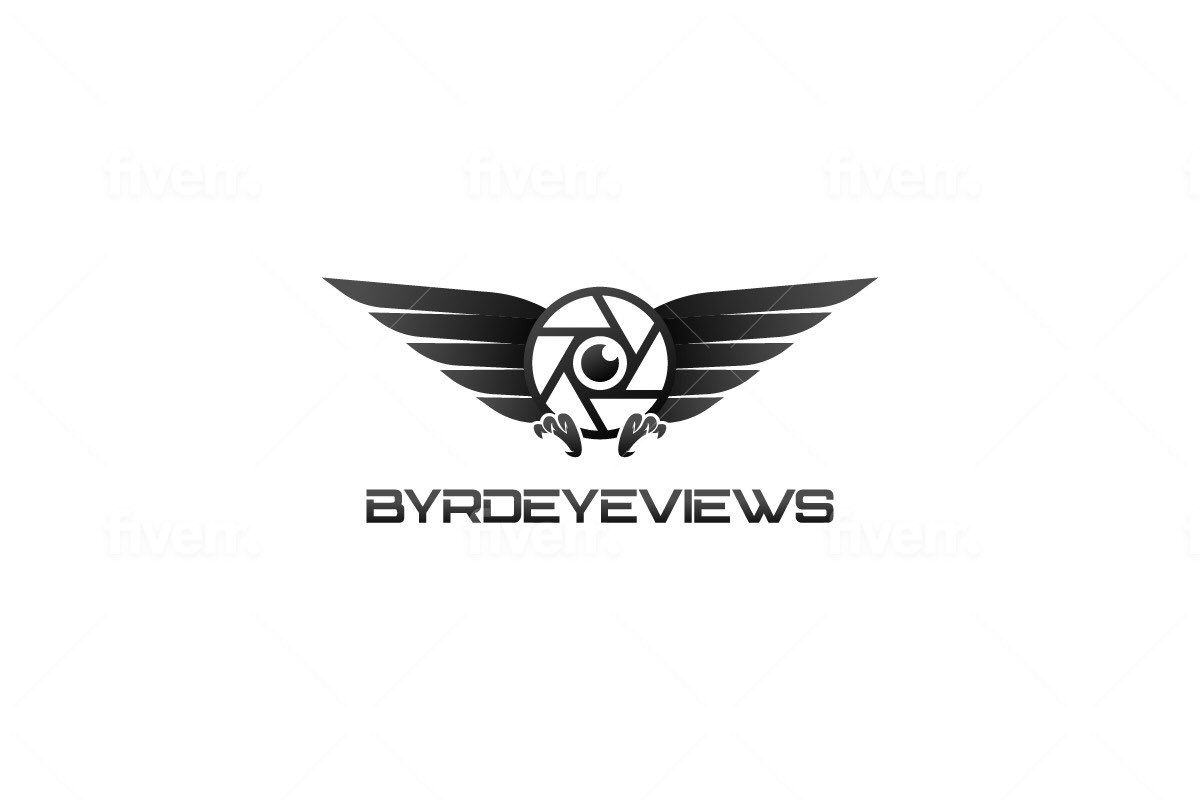 ByrdEyeViews official logo💜🎥