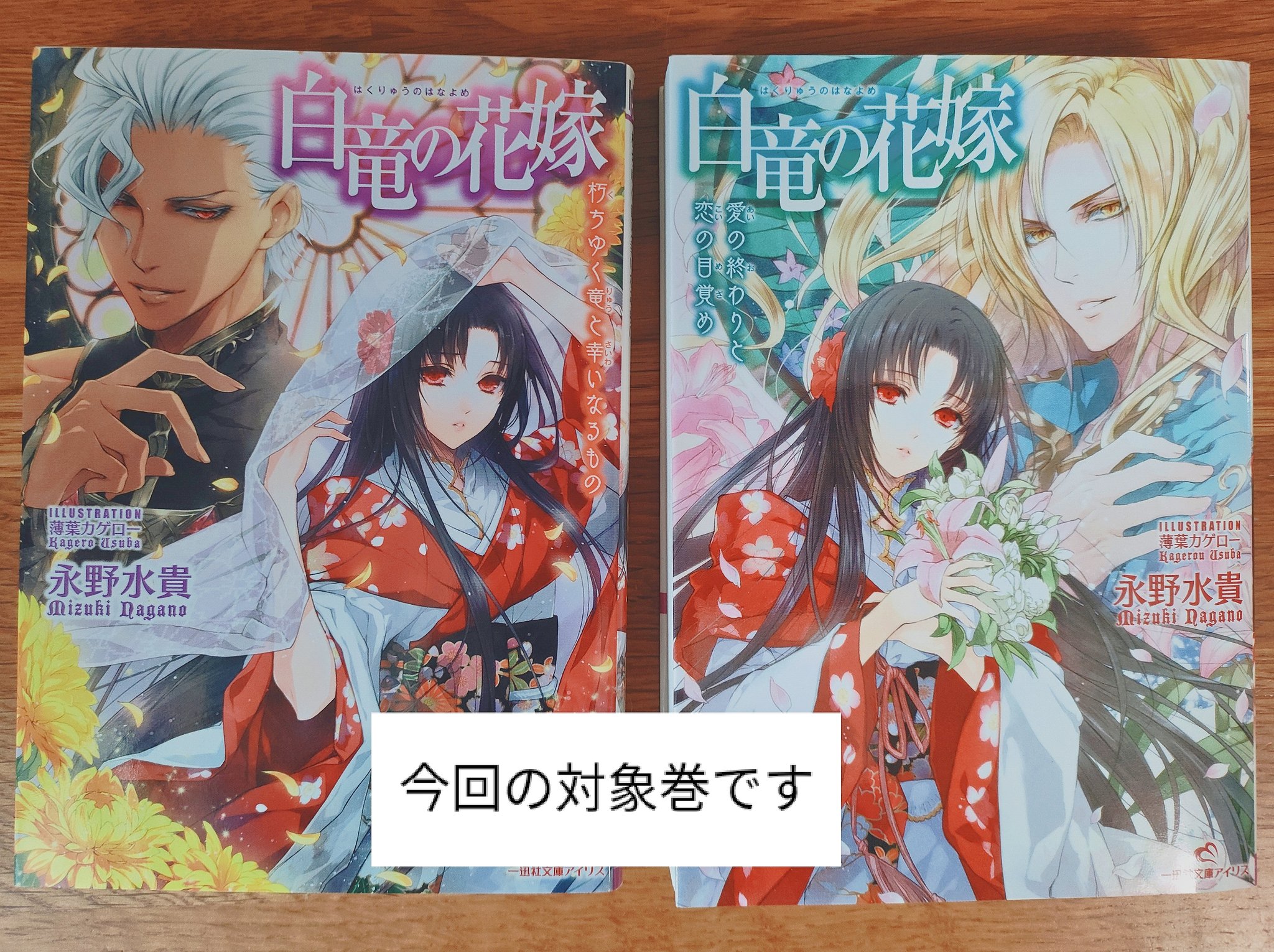 柿の本棚 中国語 ベトナム語関連書籍専門 Kaki Drszs Twitter