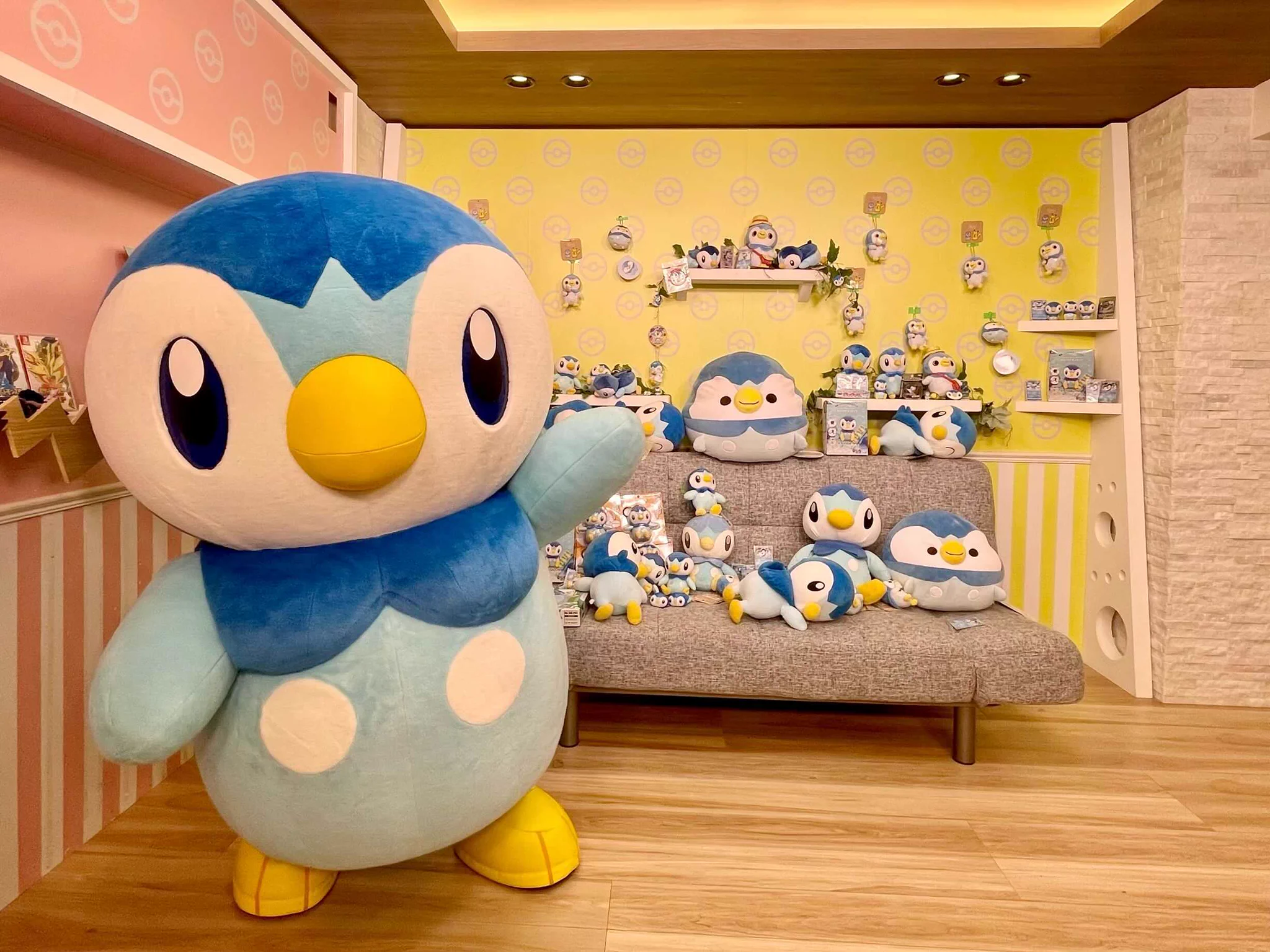 ときちゃん【ポケるんTV】 on X: 