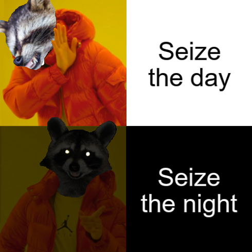 Night, a more perfect day. 🦝#raccoons

<a href="/RaccoonDaily/">Daily Raccoon</a>
<a href="/backbonegame/">Backbone</a>