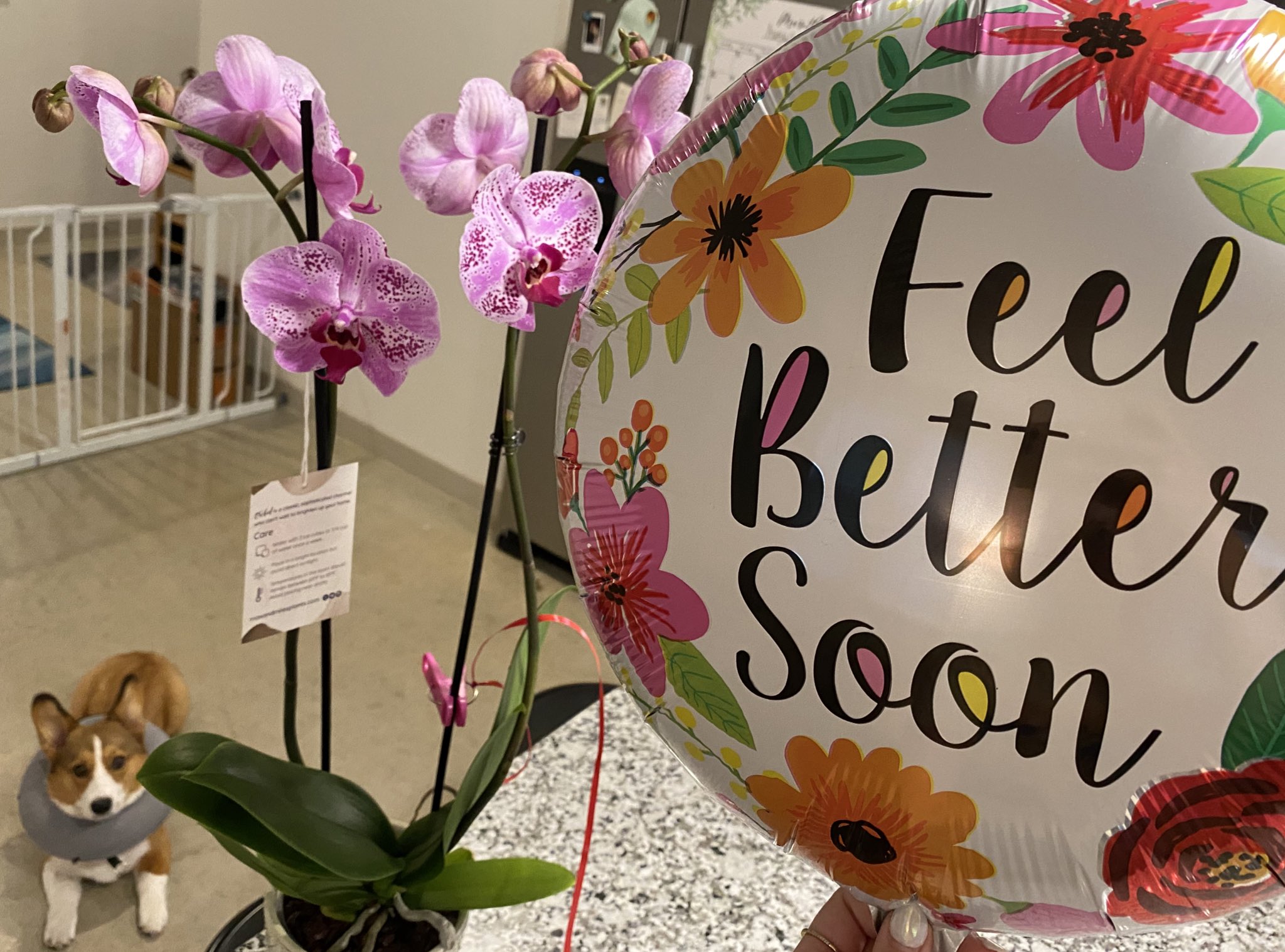 Alfredo Diaz on Twitter "RT JackieMButler ._TrevorC & bdunkelman