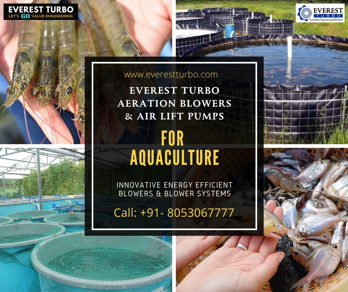 EverestTurbo's tweet photo. Energy Efficient Aeration &Pumping Solutions for Aquaculture
#Aquaculture #AerationSystem #Aeration #RAS #ShrimpFarms #PrawnCulture #PrawnHatchery #Biofloc #BioflocSystem #FishFarm #FishFarming #PondFishing #IPRS #Raceway #Tilapia #Catfish #IMC #Rohu #Catla #Mrigal #IMCFish https://t.co/dqVVEjp4jn