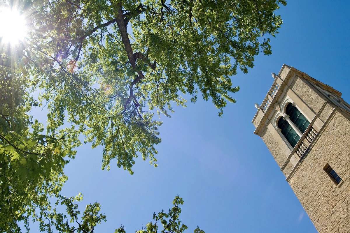 Amazing Colleges tweet media