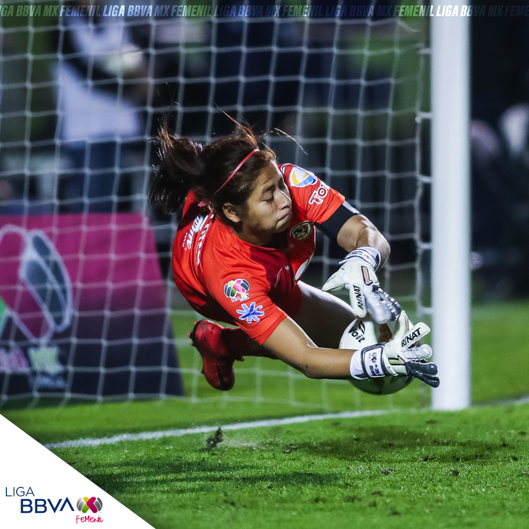 LigaBBVAFemenil's tweet photo. ¡@AmericaFemenil Campeón!🏆🦅
En la cancha del Volcán 🌋⚽, las Águilas se coronaron Campeonas 🏆 del #AP2018 de la #LigaBBVAMXFmeneil, luego de vencer a Tigres.
Aquella fue otra de las noches inolvidables de la división 🤩🎀
#Lig4MXFemenil
#VamosPorEllas ⚽🎀 https://t.co/gtpbyXoQil