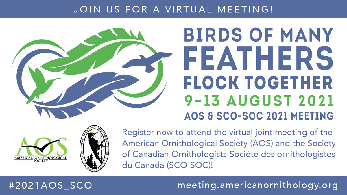 AmOrnith's tweet photo. Only 13 days until #2021AOS_SCO! Check out our exciting lineup of plenaries scheduled during our meeting from Tues–Fri at noon daily (EDT)! https://t.co/8I2ZEqEJgU https://t.co/o0B79Ad9Nh