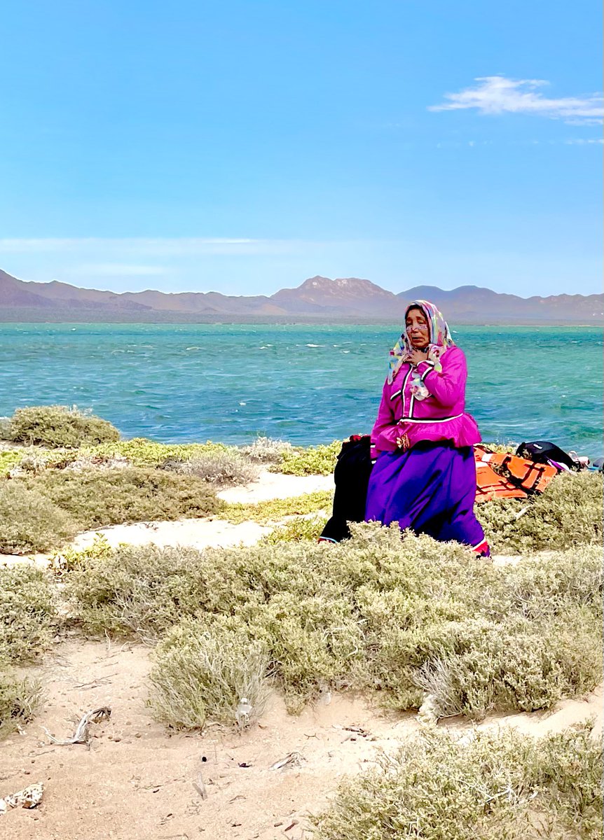 Marcos🌎Colina tweet media