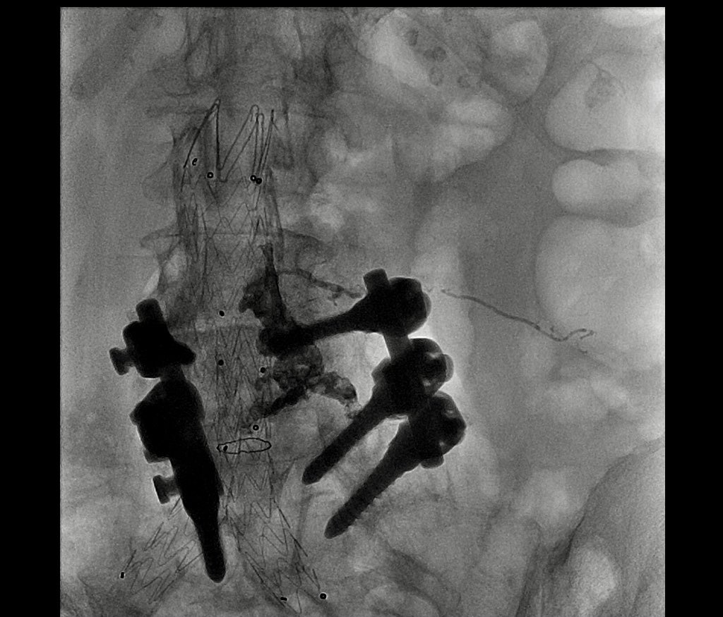 Joseph Luka MD tweet media