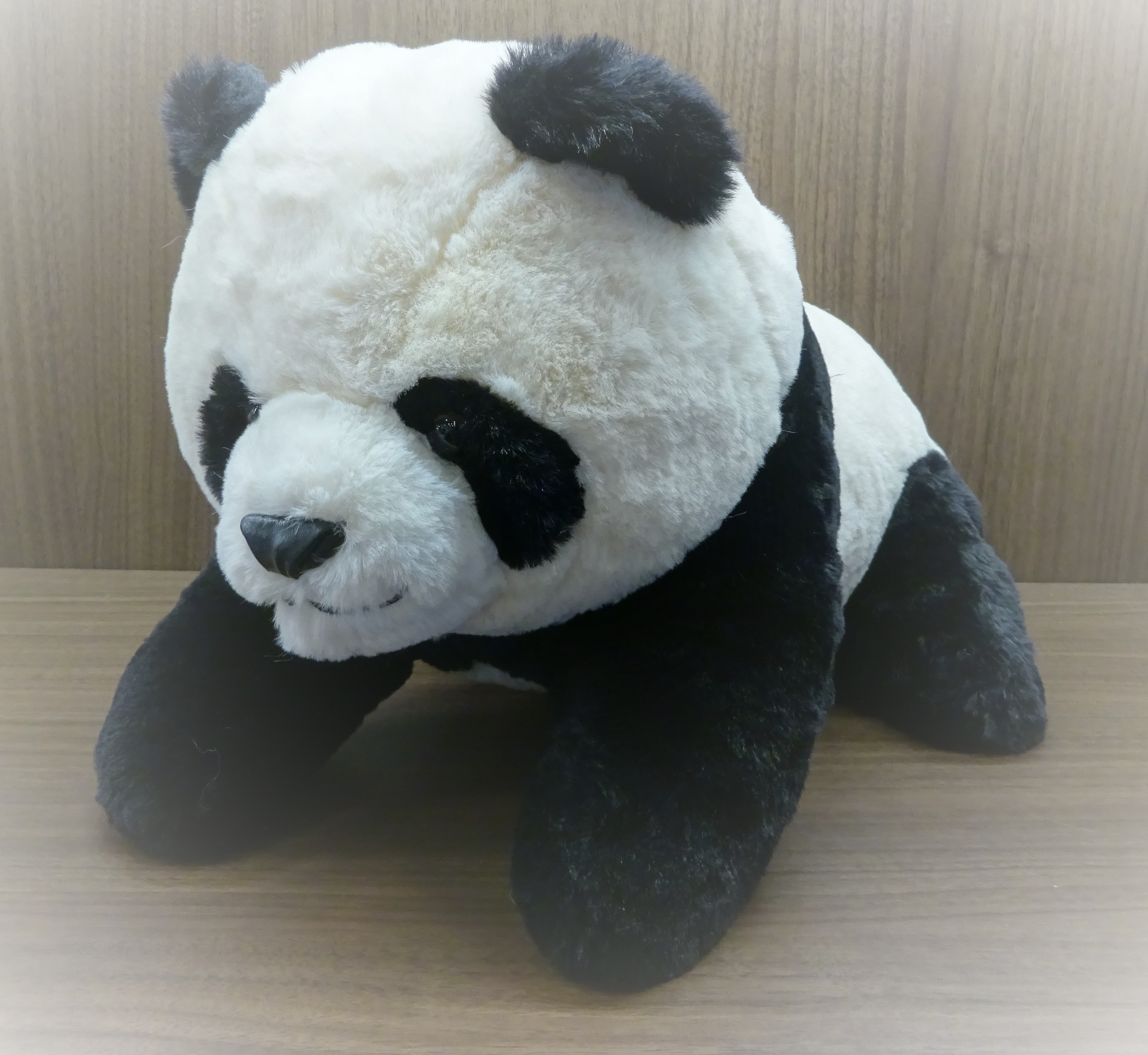 箱入りシャンシャン 上野動物園［公式］ on X: 