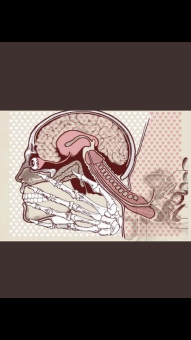 I know your curious of being a  dirty slave, so devolve into a good dumb whore .Once you give up control