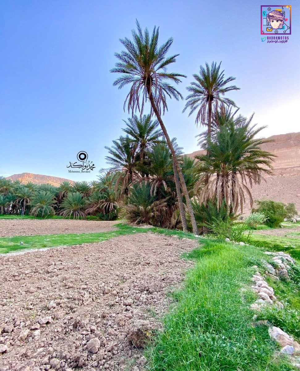 hadramot05's tweet photo. 🌷

ما أَسعد صباح من حمد ربه على العفو والعافية
والعيشة الهنية الكافية ولحظات الدعاء الصافية
صباح المحبة والرضا والود للقلوب الراضية
اللهم اجعلنا ممن تفاءل بخيرك فأكرمته
وتوكل عليك فكفيته ولجأ إليك فأعطيته
واستغاث بك فأغثته واستنصر بك فنصرته
واستغفرك فغفرت له 💝

#رتويت_ابوحضرم https://t.co/tqd19Bmb04