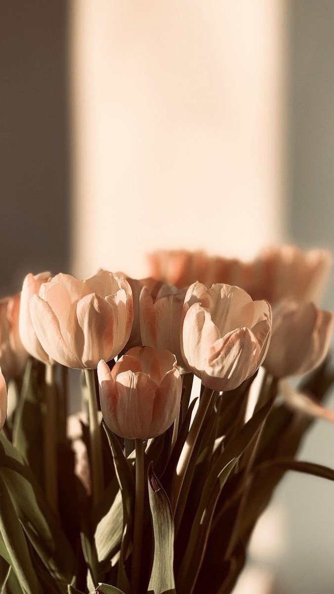 𝓯𝓪𝓲𝓻𝔂 tweet media