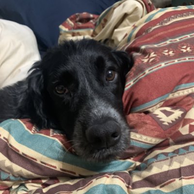 ttv_nerkuda's tweet image. #NewProfilePic