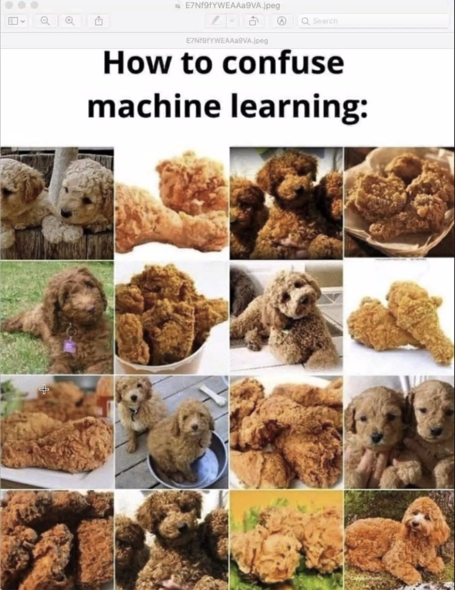 testhelpertext tweet media