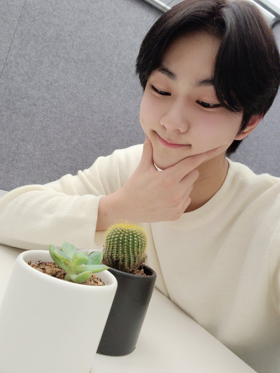 AsiaEnhypen's tweet photo. TRANSLATION | 210727
#ENHYPEN #JUNGWON #Tension #Garden #Mini1
ENGENE, how was today's V LIVE?Heheheheheheheheheheheheheheheheh
Now that I've done that, I reenacted an old photograph. lol
Good night, ENGENE~😍
@ENHYPEN_members https://t.co/t3BdiU2SWa